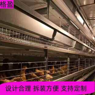 厂家热镀锌大层叠蛋鸡笼集蛋清粪一体全自动养殖设备肉鸡笼