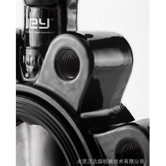 瑞士双偏心蝶阀TZ0系列带十字头齿轮
