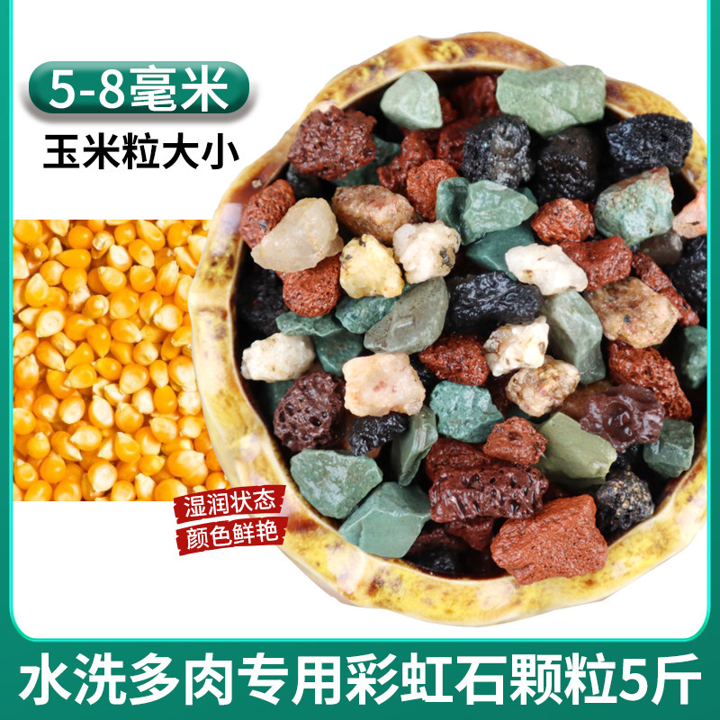 专用沸石麦饭石种植多彩虹石头拌火山石土纯植物肉石铺面颗粒绿