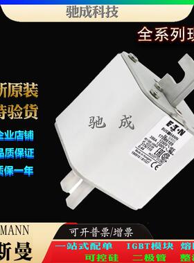 巴斯曼170M6189 170M6190 170M6191 大量现货优价供应 高速熔断器