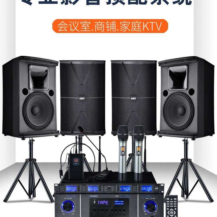 包邮专业会议室舞蹈培训门店铺专用音箱家庭KTV音响套装k歌健身房