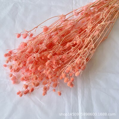 云南厂 热永卖生保鲜花情人果小刺芹工花 家情人果居装饰礼品花束