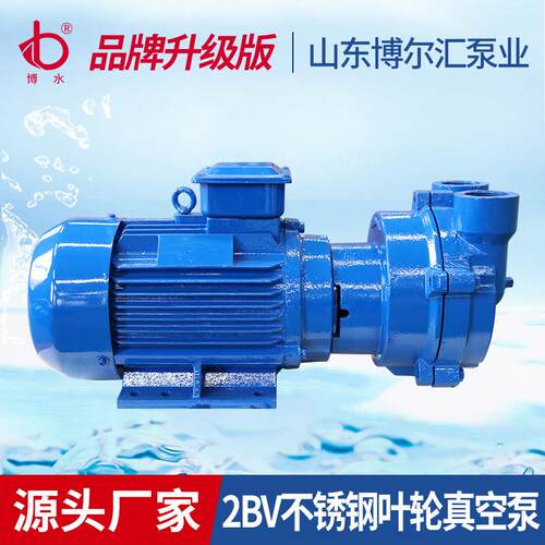 574BV水2060水环式不锈钢2叶轮真空泵循环真空泵卧式水环式真空泵