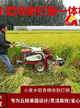 手扶麦自走式水稻割捆机型收割捆一体机小苜蓿草割小晒MUT机打农