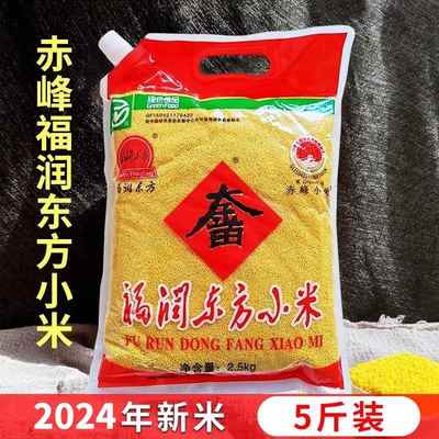 福润东方小米2024新黄小米内蒙赤峰 天山岗台大金苗新米贡米5斤
