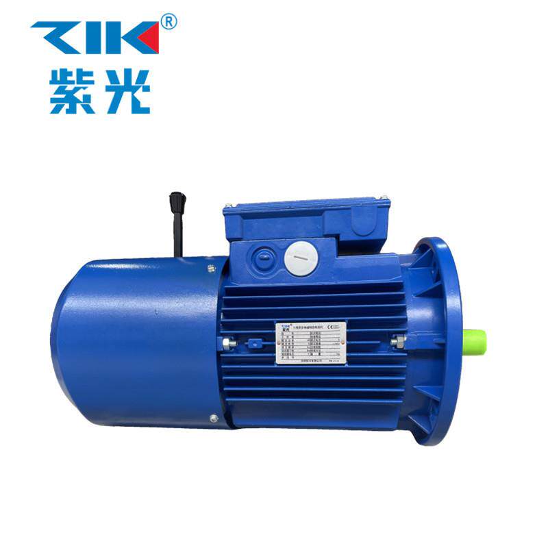 BMD100L-2清华紫光刹车电机/马达