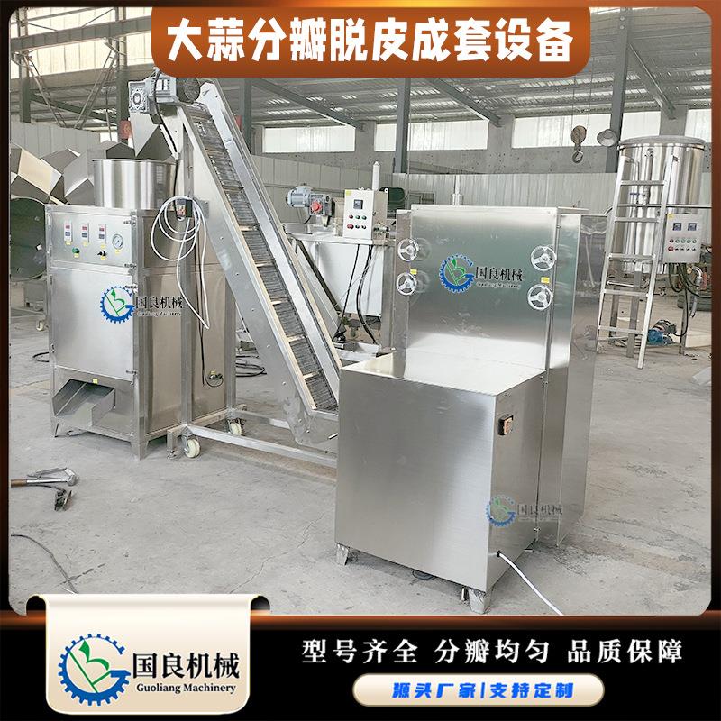 800公斤大蒜分瓣设备干法大蒜分瓣机无损伤全自动大蒜破瓣机