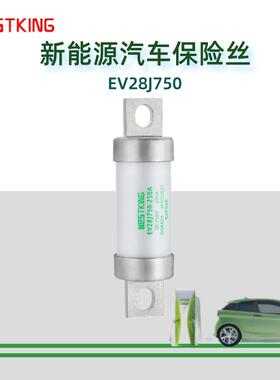保险丝/熔断器EV28J750-100A125A150A200A250A直流电动汽车高压