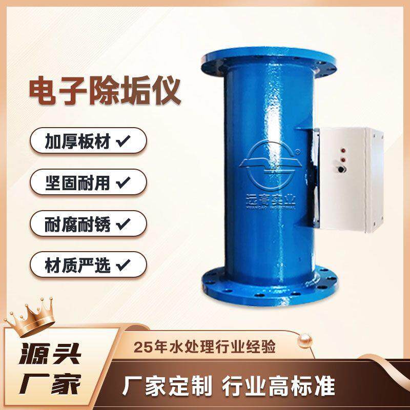 不锈钢设备循环水臭氧反渗透发生器专用电化学工业过滤器小型配件