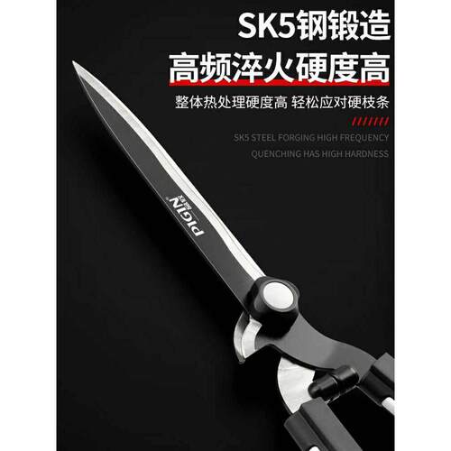 园艺修剪草坪花草树枝绿篱剪绿化工具家用粗枝园林果树大剪刀马小