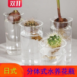 日式多肉植物水养玻璃，花瓶绿萝水培绿植风信子插花器家居装饰摆件