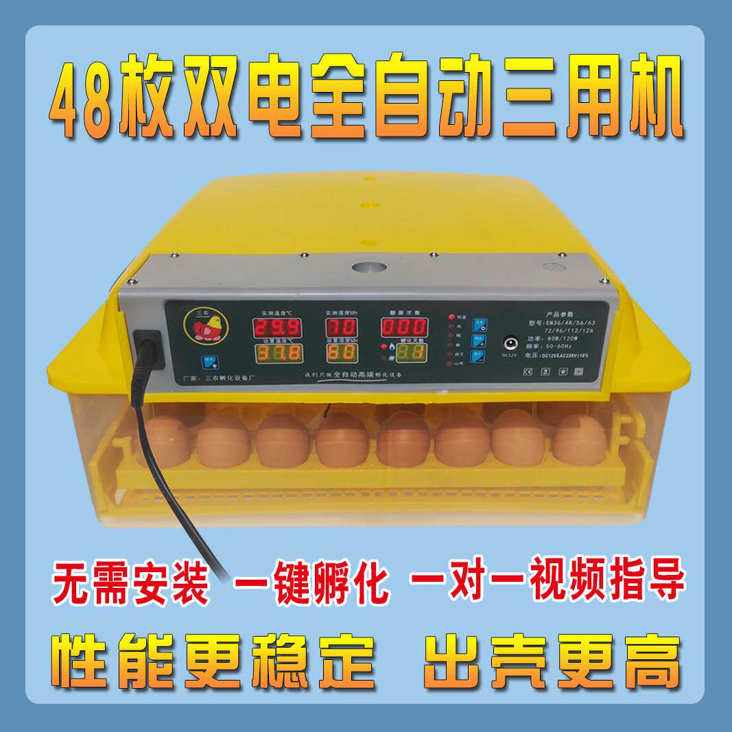 德州自动孵化机 小型鸡鸭孵化箱 63型电子孵化机 超小型孵化器设