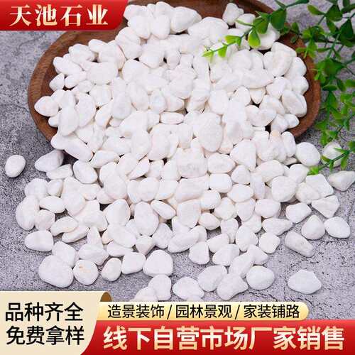 雪花白小石子水磨石园林铺路水洗石庭院鱼缸造景雪花白色鹅卵石