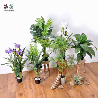 真仿生仿真北欧盆景仿真室内装饰绿树植旅人批发蕉盆栽植物