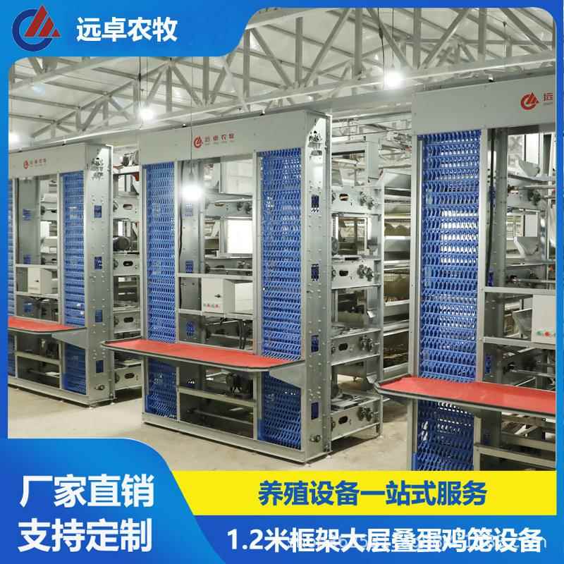 大层叠蛋鸡笼养鸡设备加密加粗自动化养殖笼具新型锌铝镁板蛋鸡笼图片