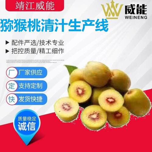 厂家直销大型工业商用不锈钢优质的猕猴桃清汁生产线