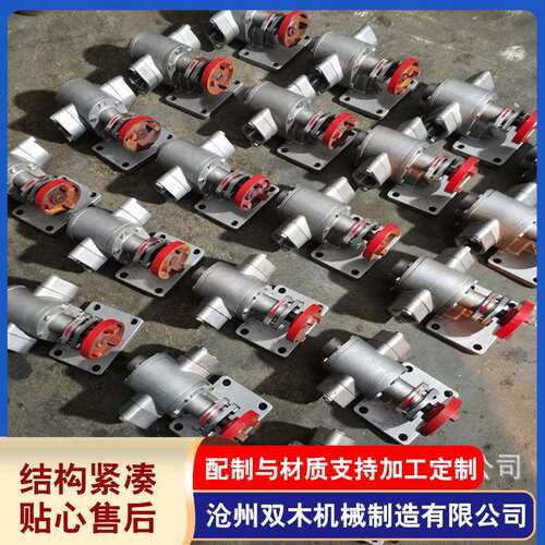 供应各种型号B系列304不锈钢齿轮泵油泵CB-55