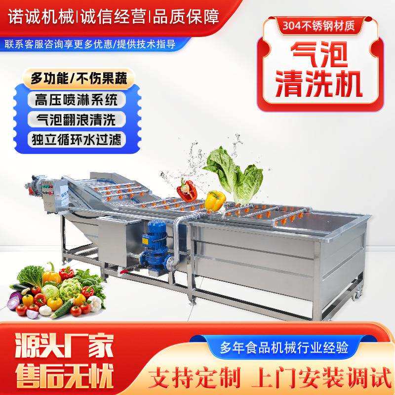 青梅大枣清洗机 大型花椰菜气泡清洗机 芹菜萝卜果蔬清洗机