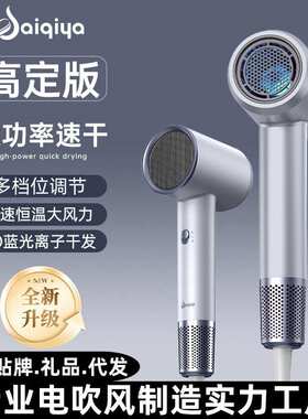 电吹风机源头工厂高转速家用大风力护发廊大功率外贸电吹风