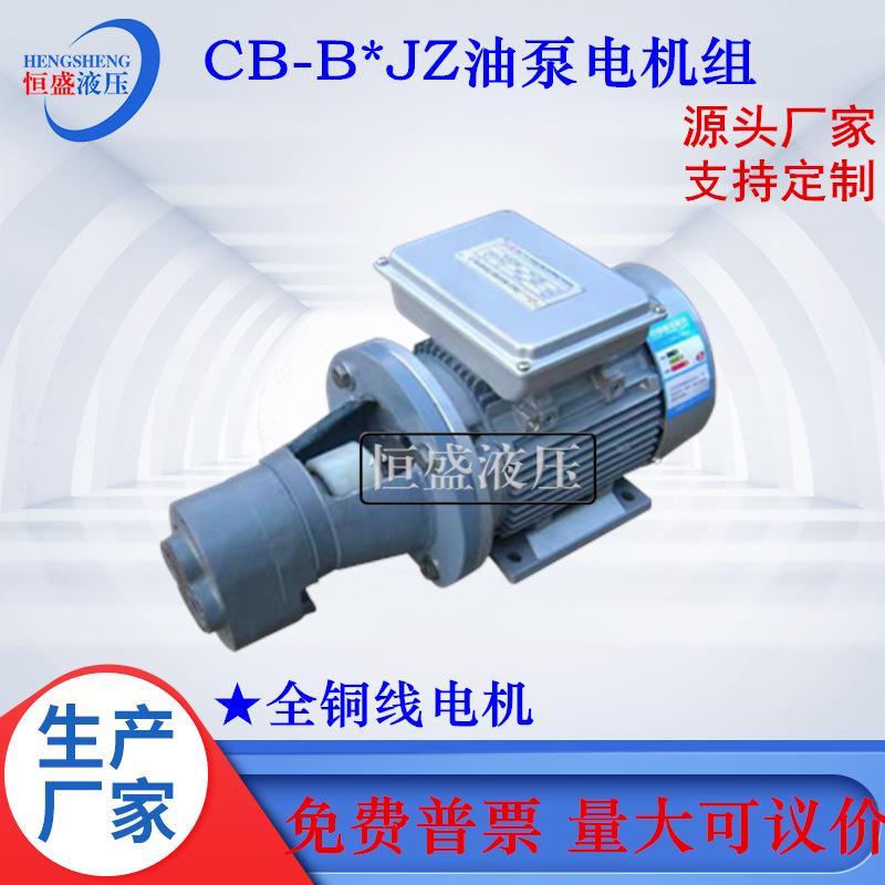 齿轮抽油泵电机总成CB-B4JZ 10 32 63 80 125JZ润滑泵电机组装置