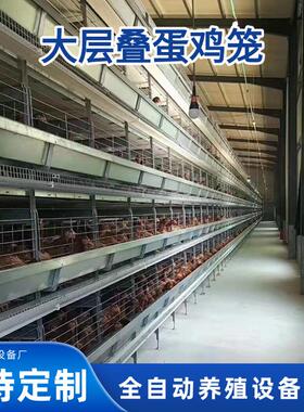 大层叠蛋鸡笼雏鸡笼全自动收集清理粪便捡蛋机热镀锌养殖场设备