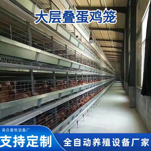 大层叠蛋鸡笼雏鸡笼全自动收集清理粪便捡蛋机热镀锌养殖场设备