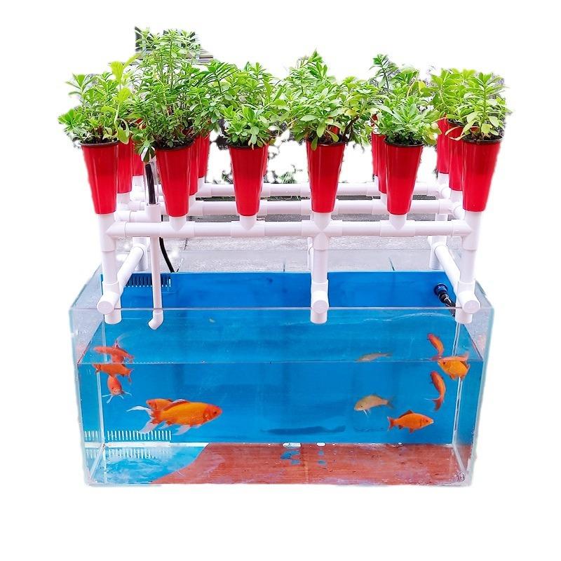 阳台玻璃鱼缸种植架鱼菜共生系统鱼花共生系统水培潮汐种植系统