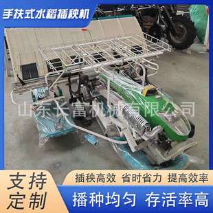 南方水稻秧苗栽植机曲柄摇杆式稻苗种植机手扶式水稻插秧机