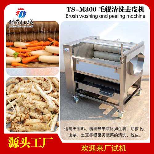 去皮清洗机白萝卜大姜去皮清洗机电动毛辊土豆清洗削皮机