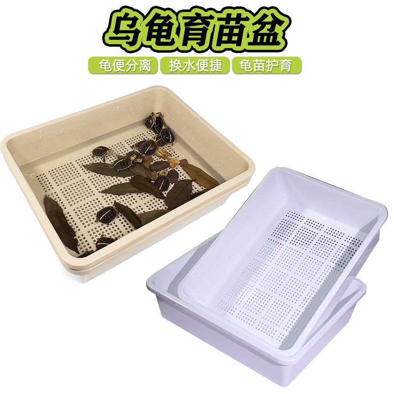 小乌龟育苗盆饲养缸隔离盒发色盒加大白龟缸黄缘龟巴西龟鳄龟通用