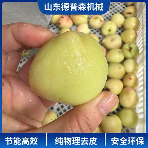 多功能蒸汽式物理爆皮机桃子番茄全自动脱皮机