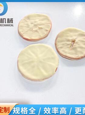 店家推荐爆款冻干水果干巧克力裹层机柠檬片香橙片淋巧克力设备