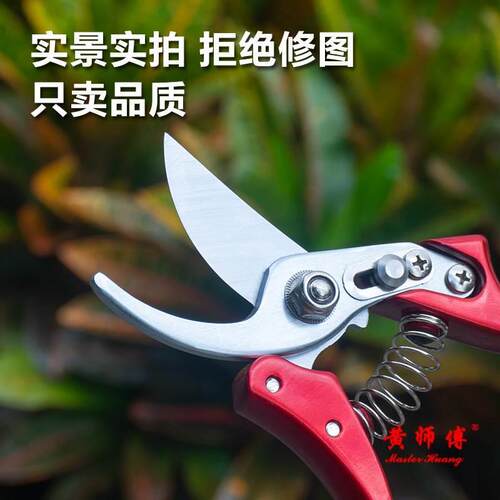 粗修枝枝剪刀园艺sk5果树树枝剪剪剪黄剪刀师傅省力枝果枝