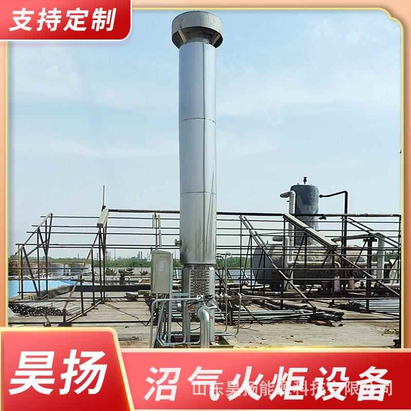 昊扬能源垃圾填埋场养殖场沼气燃烧火炬内燃式沼气火炬