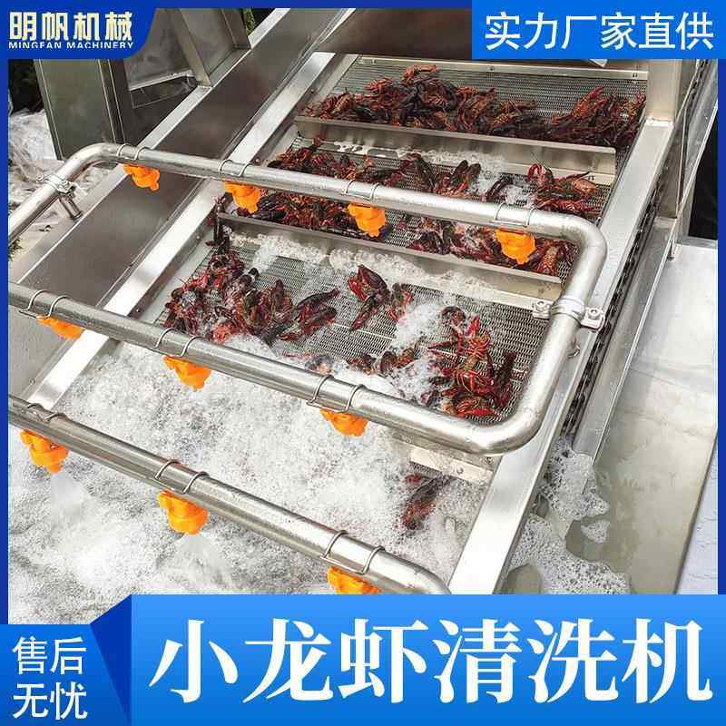 大连型续预3000mm制菜小龙虾气泡清清洗机 自动洗虾 小龙机虾洗蒸