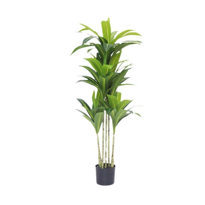 仿真绿植巴西木盆栽家居软装布景室内室外北欧风摆件假植物树盆景图片