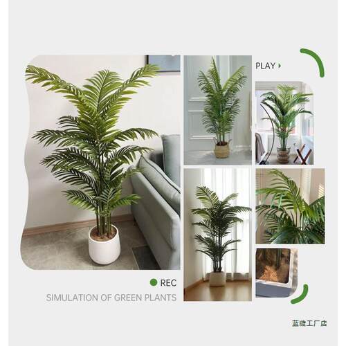 散尾葵轻奢风假树室内客厅装饰摆件落地造景仿生绿植盆栽
