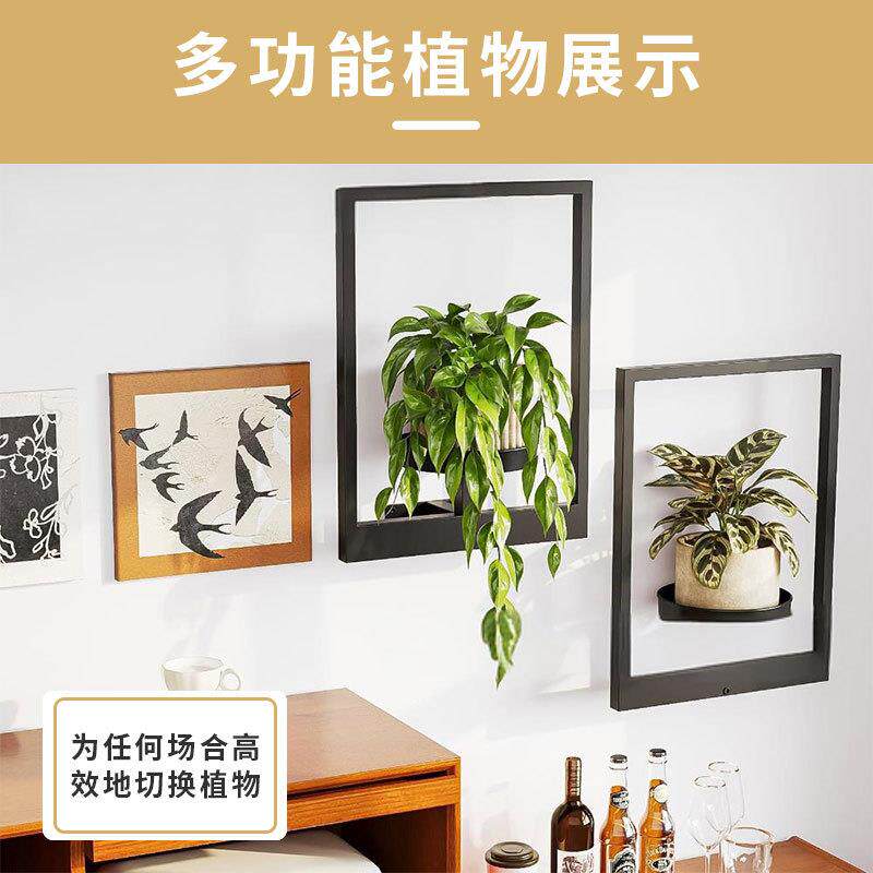 亚马逊铁制壁挂式室内专用花架置物架客厅卧室植物架墙上画框花架