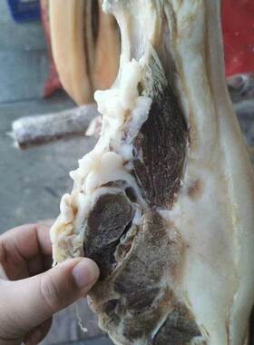 咸肉腊肉安徽六安农家手工腌制土猪肉五花肋条后座肉散装500g风干