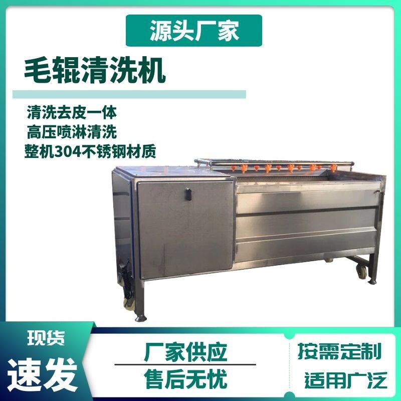 生姜人参毛辊去皮清洗机牛蒡清洗机红薯紫薯清洗机器洗板蓝根设备