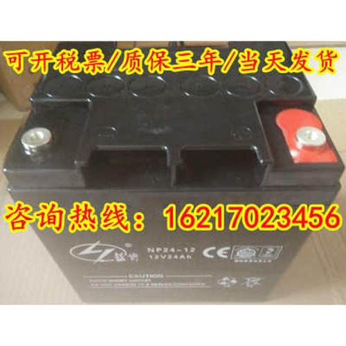 蓝肯蓄电池NP38-12/12v7.2a12a17a24a38a65a100a120a150ah消防UPS