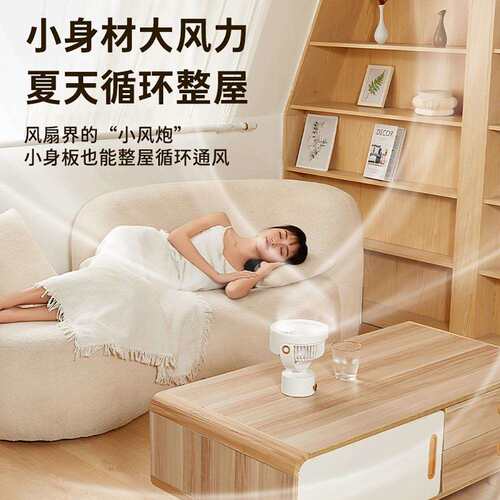 维特世嘉立式新款多功能定时智能摇头3D立体超长续航循环桌面风扇
