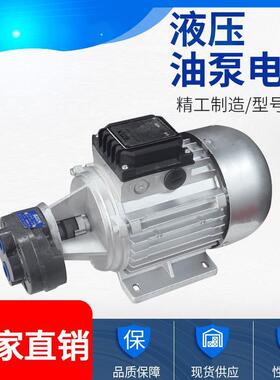 齿轮油泵4电XPA机组370/5150W配CBB25//6/.0油泵组配齿轮油泵