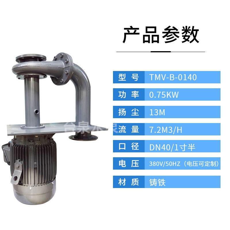 泵台牌铸铁双管立式液下元长轴排CGV污泵泉槽内侵入式东液下泵