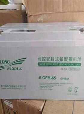 科华蓄电池6-GFM-65/12V65AH消防设备医疗仪器UPS电源用电池