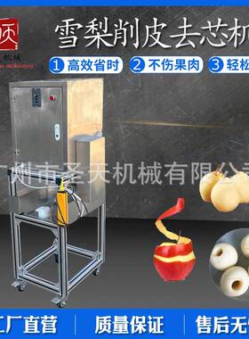苹雪梨皮机商用双位工圆果削果皮去ULD核分瓣一体机削/厂家直销