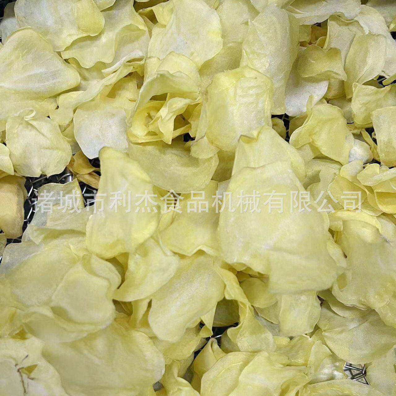 连续多层姜片干干燥机 红薯生片带式燥脱水利杰机 魔芋片烘干机厂