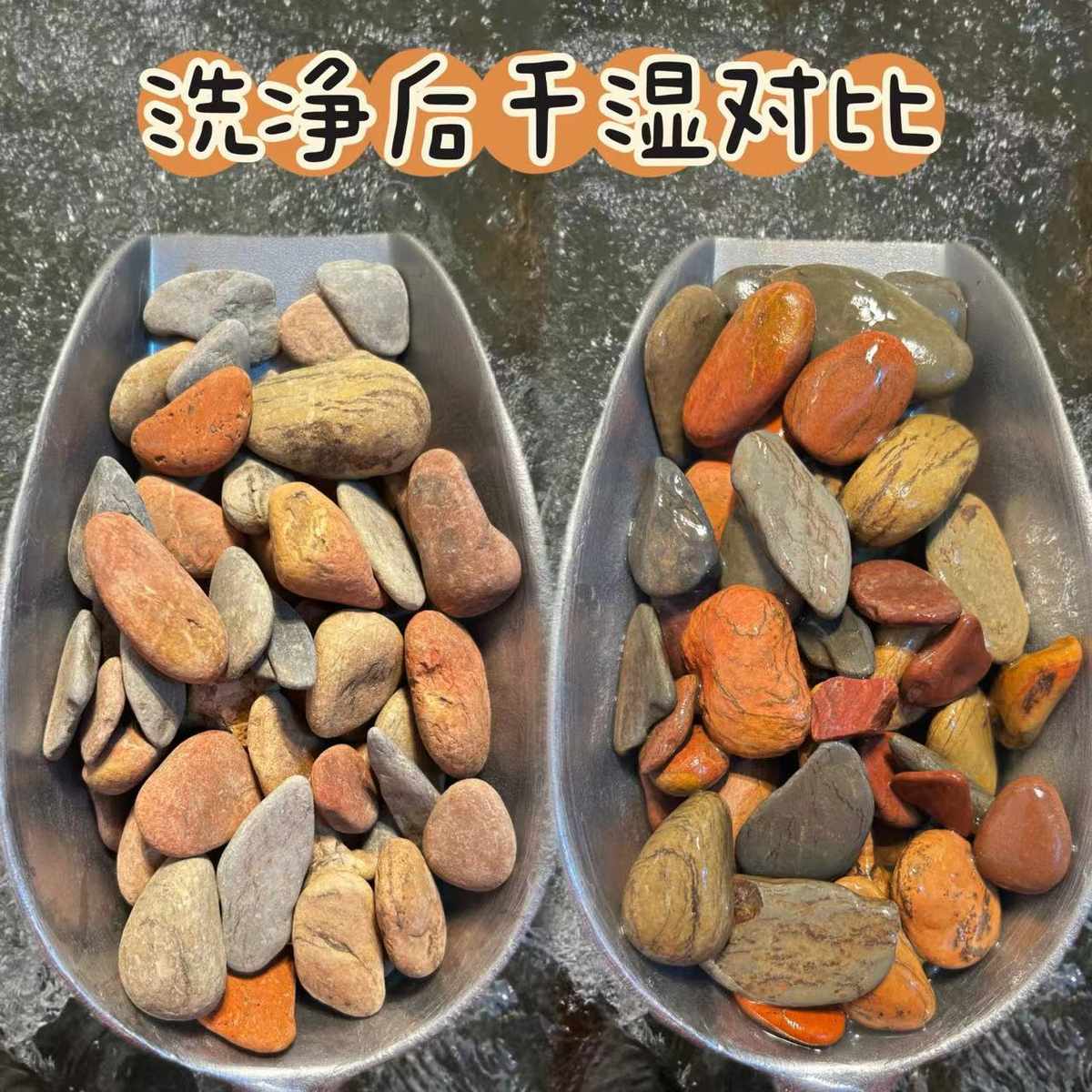 原生缸溪流沙鱼缸造景装饰铺底彩色底砂石乌龟古法缸鳑鲏虾虎河沙