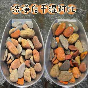 饰铺底彩色底砂石乌龟古法缸鳑鲏虾虎河沙 原生缸溪流沙鱼缸造景装