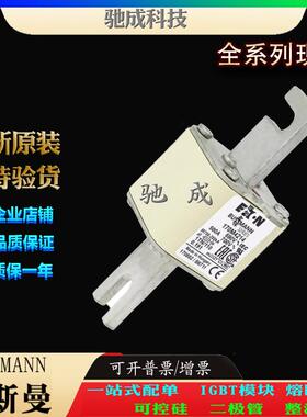 巴斯曼170M4213 170M4214 170M4215 大量现货优价供应 高速熔断器